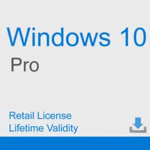 win10 professional